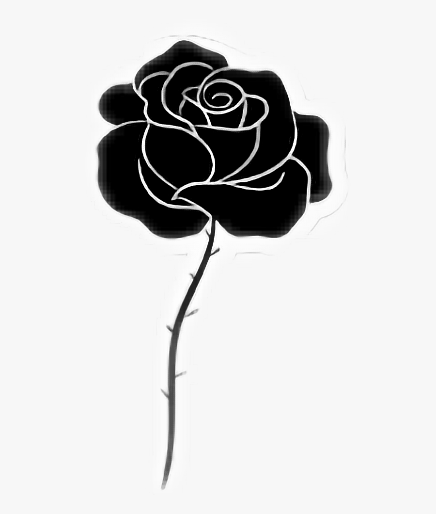 #rose #blackrose #roseblack - Floribunda, Transparent Clipart