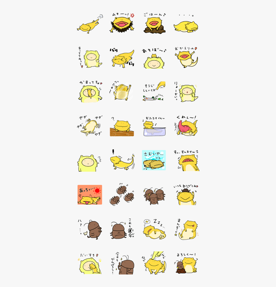 With Bearded Dragon, Transparent Clipart