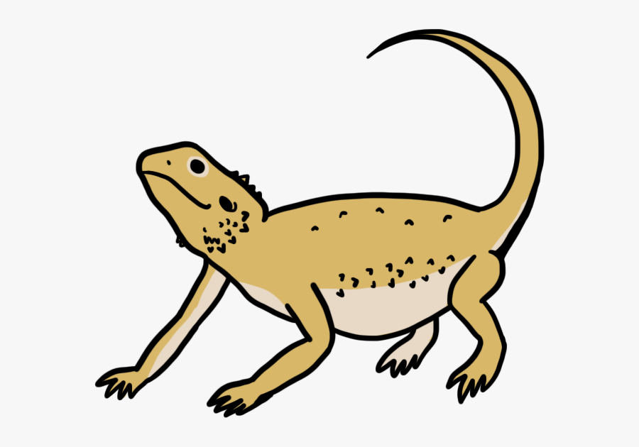 Bearded Dragon - Bearded Dragon Drawing, Transparent Clipart