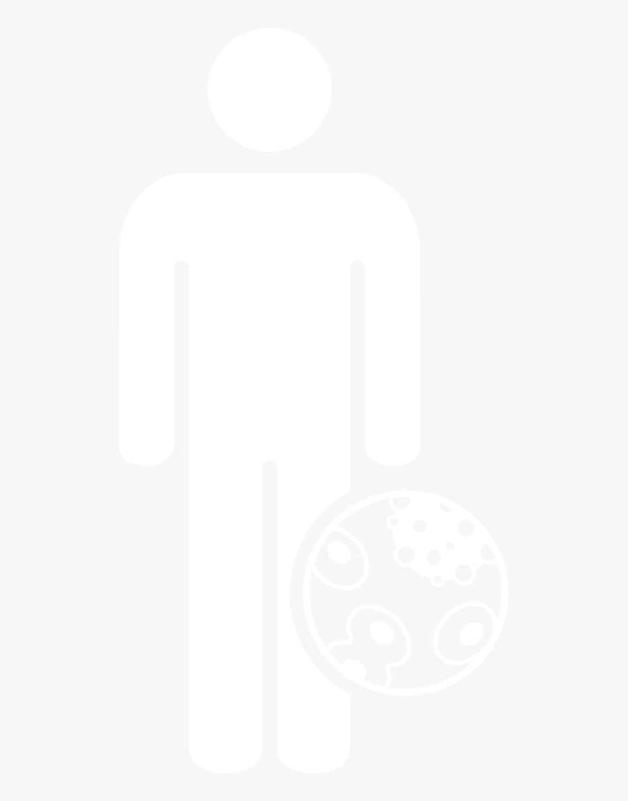 Circle, Transparent Clipart