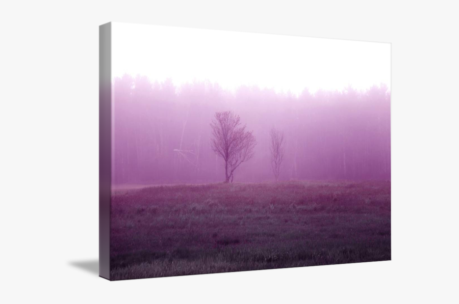 Clip Art Foggy Field - Mist, Transparent Clipart