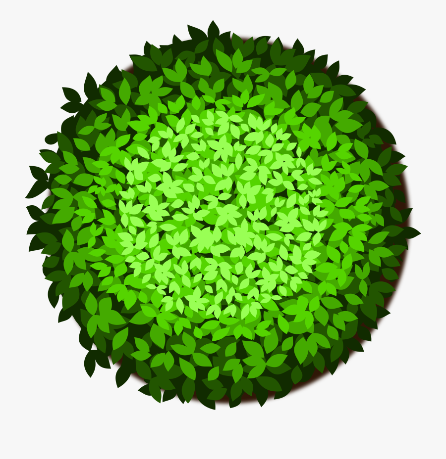 Tree Bonsai Computer Icons Clip Art, Transparent Clipart