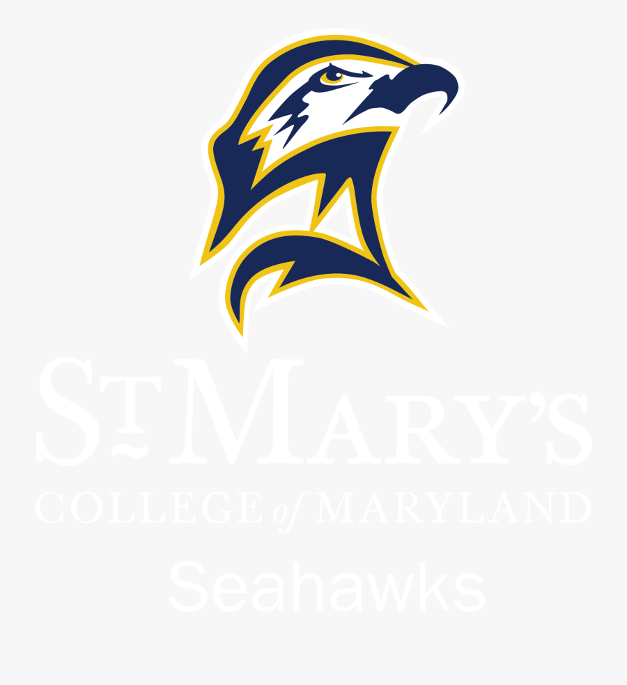 Seahawks Clip Art, Transparent Clipart