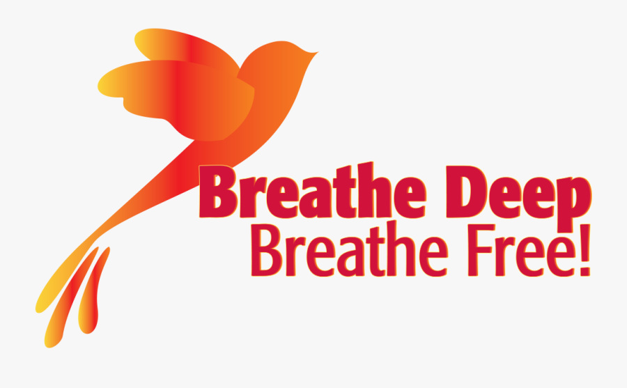 Smoke Free, Transparent Clipart