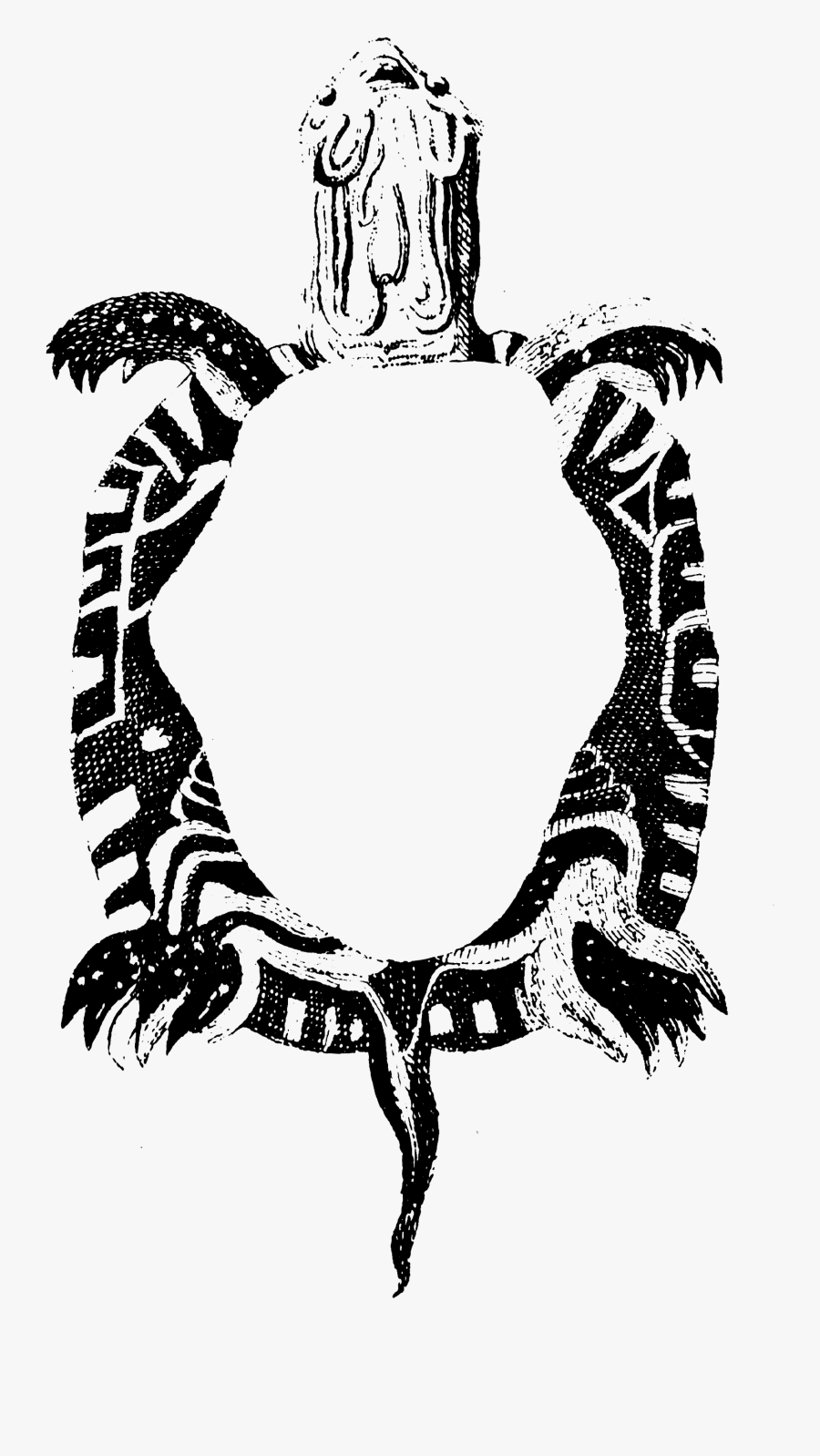 Author Clip Art, Transparent Clipart