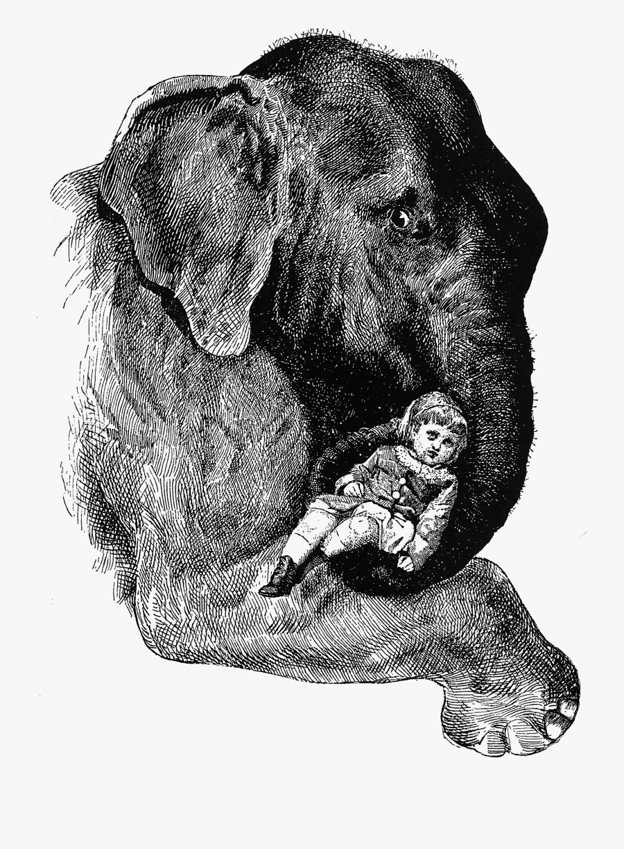 Author Clip Art, Transparent Clipart