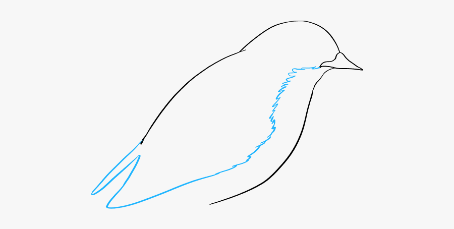 How To Draw Eastern Bluebird - Sketch, Transparent Clipart