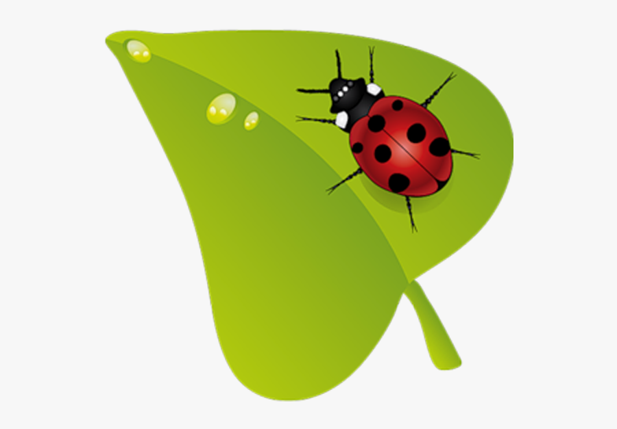 Beruu Ky Insect Clip - Uğur Böceği Png, Transparent Clipart