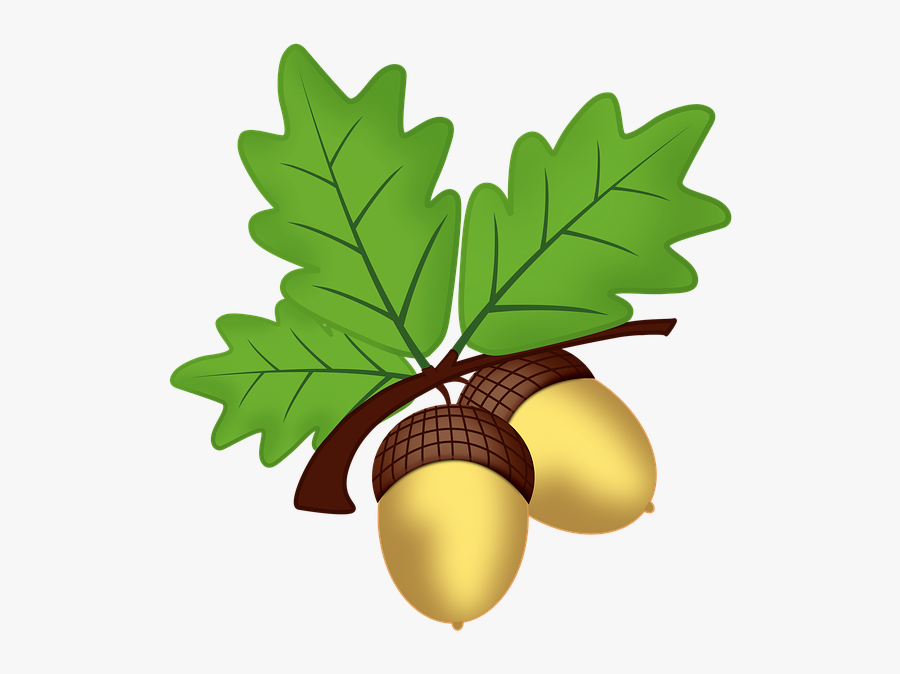 Oak Leaves Clip Art Free Transparent Clipart Clipartkey