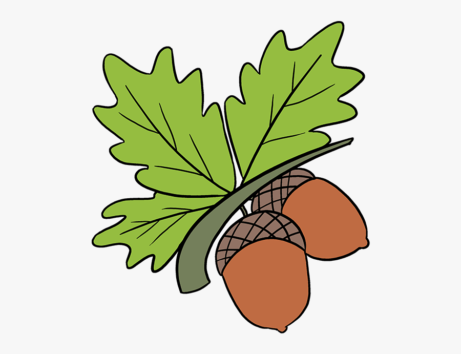 How To Draw Acorns - Acorn Drawing Easy, Transparent Clipart