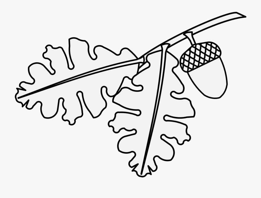 Line Art, Transparent Clipart