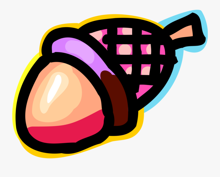 Vector Illustration Of Hard Shell Edible Seed Acorn, Transparent Clipart