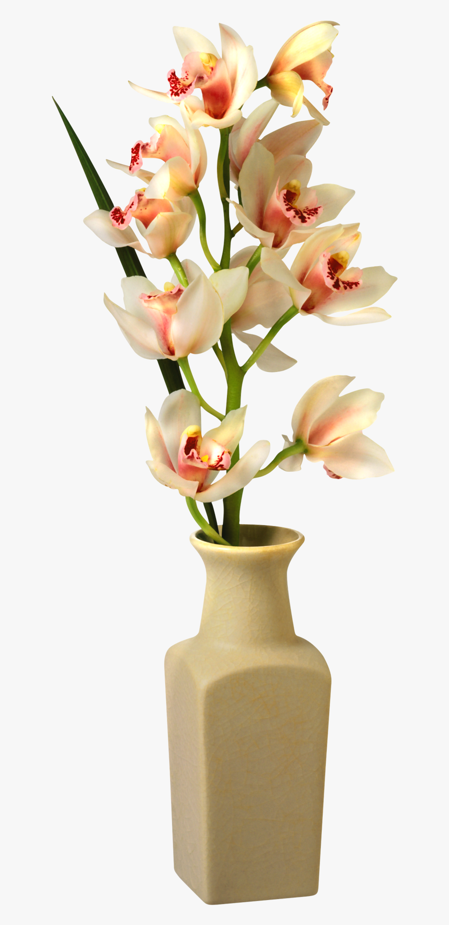 Vase Png Transparent Flower Vase, Transparent Clipart
