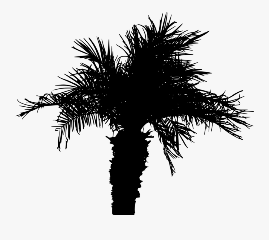 Portable Network Graphics Clip Art Transparency Palm - Palm Tree Shade Silhouette, Transparent Clipart