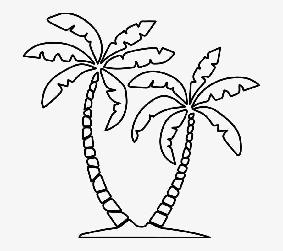 Palms, Palma, Island, Green, Nature, Landscape, Sun - Slanted Palm Tree Drawing, Transparent Clipart