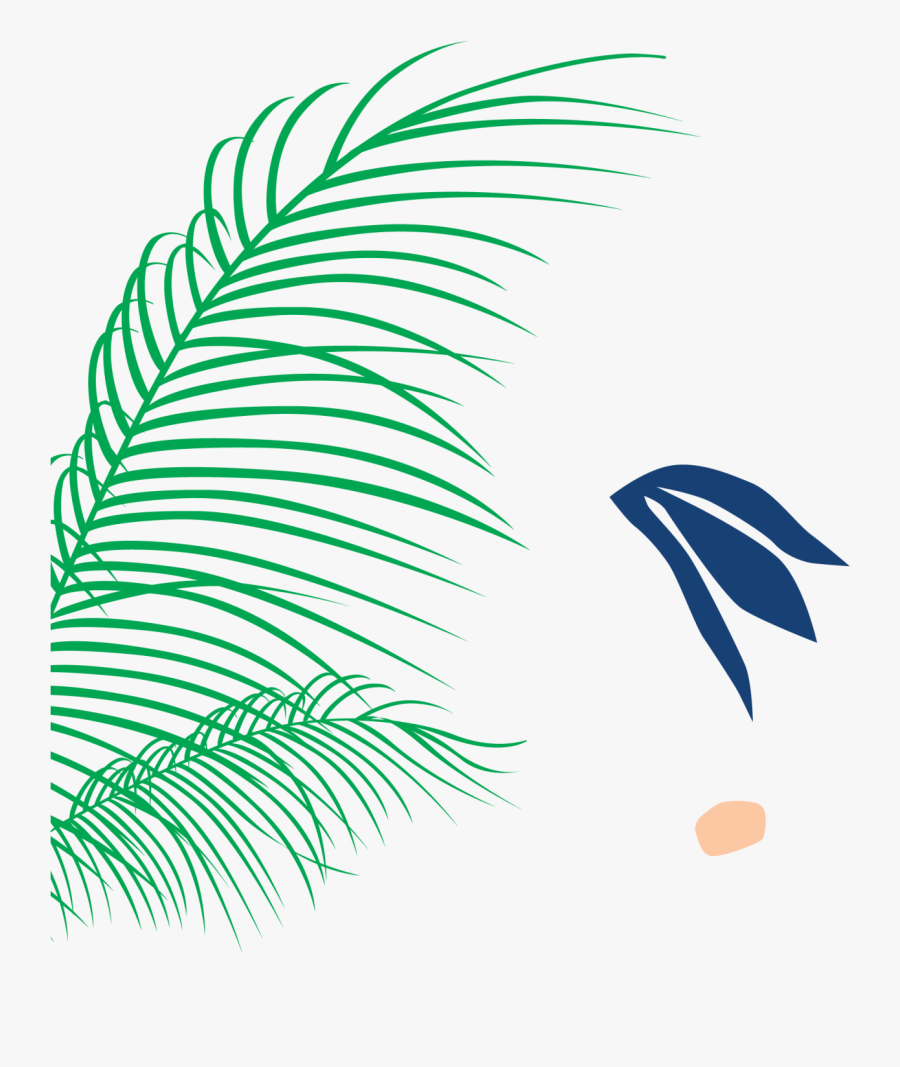 Illustration, Transparent Clipart