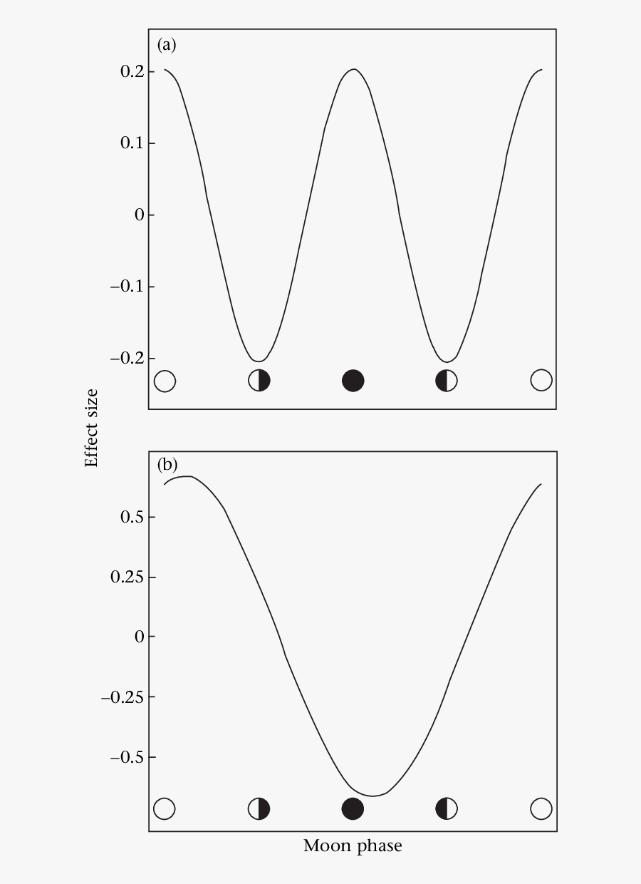Moon Phase Png -time Budget Allocation At Various Moon - Line Art, Transparent Clipart