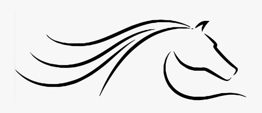 In My Free Time I Enjoy Riding My Horses, Camping And, Transparent Clipart