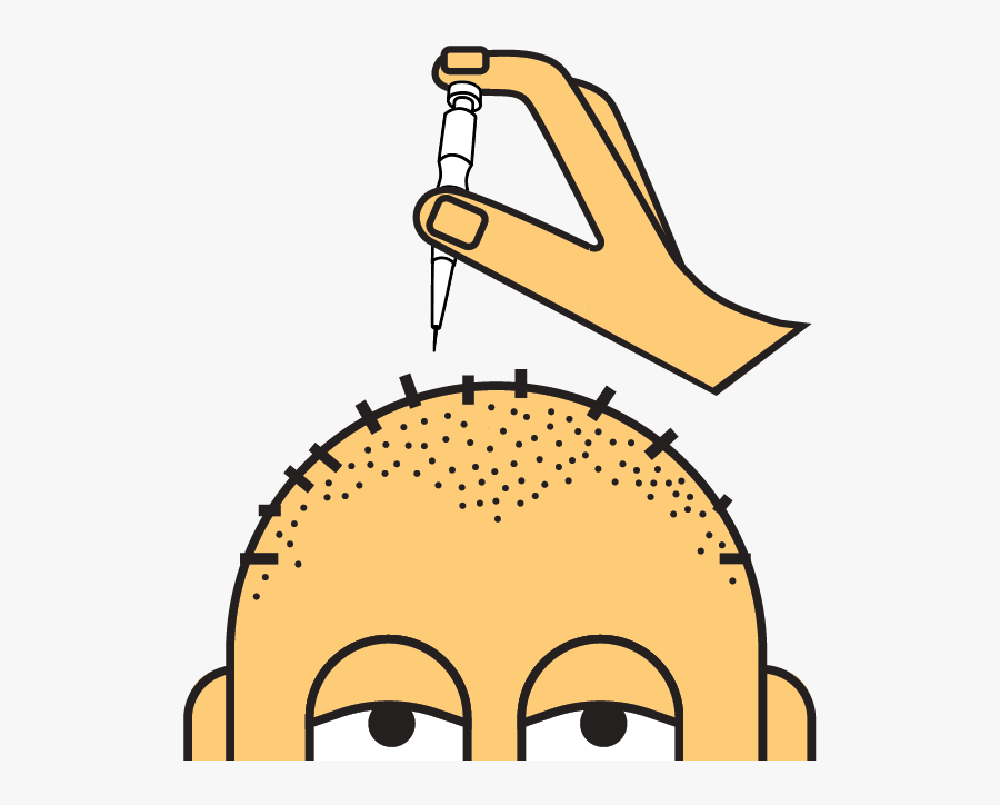 588, Transparent Clipart