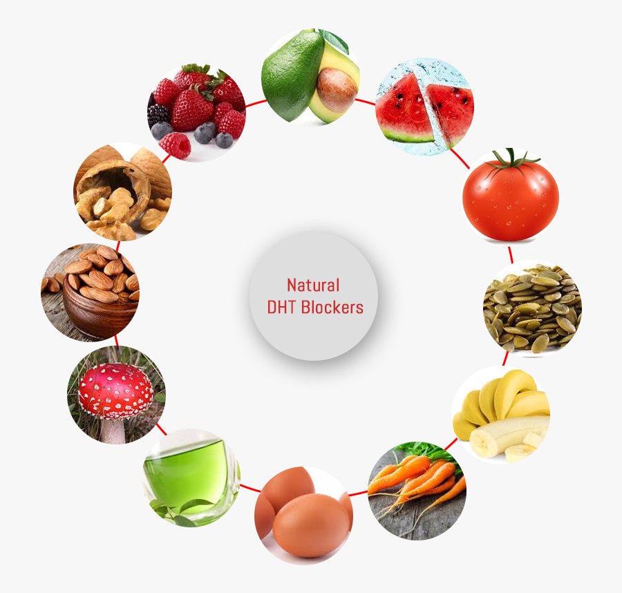 Natural Dht Blockers - Dht Blocker Foods For Hair Regrowth, Transparent Clipart