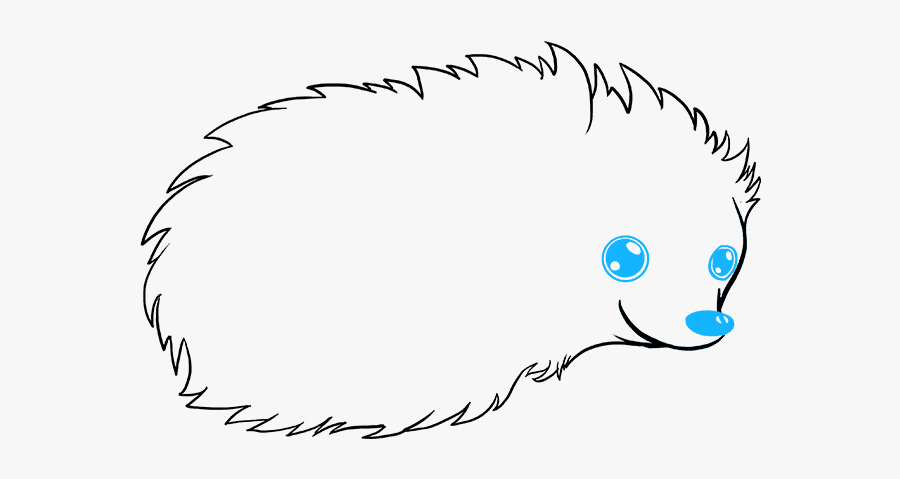How To Draw Hedgehog - Draw A Cartoon Hedgehog, Transparent Clipart