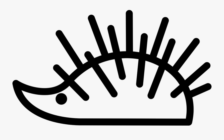 Animal, Hedgehog, Spines, Drawing - Drawing, Transparent Clipart