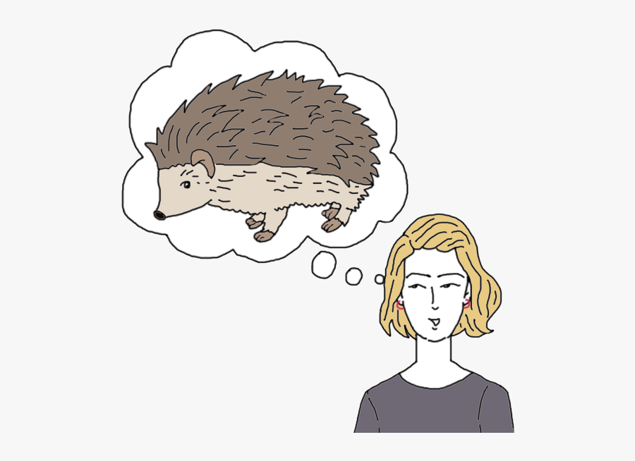 Hedgehog Dream Meanings - Hedgehog Dream, Transparent Clipart
