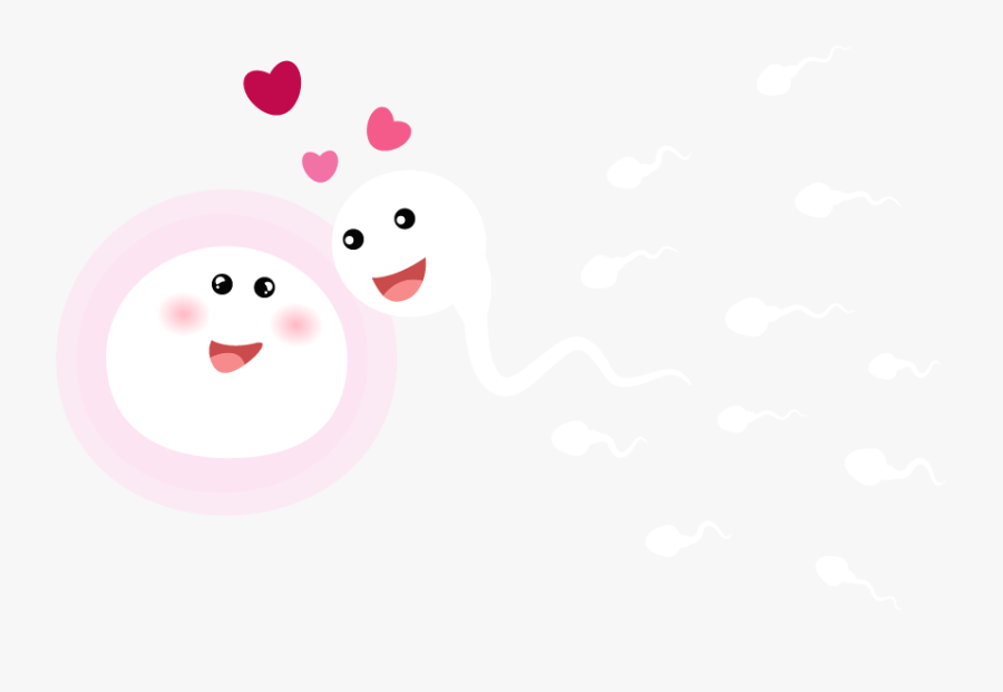 Ovulation Art, Transparent Clipart