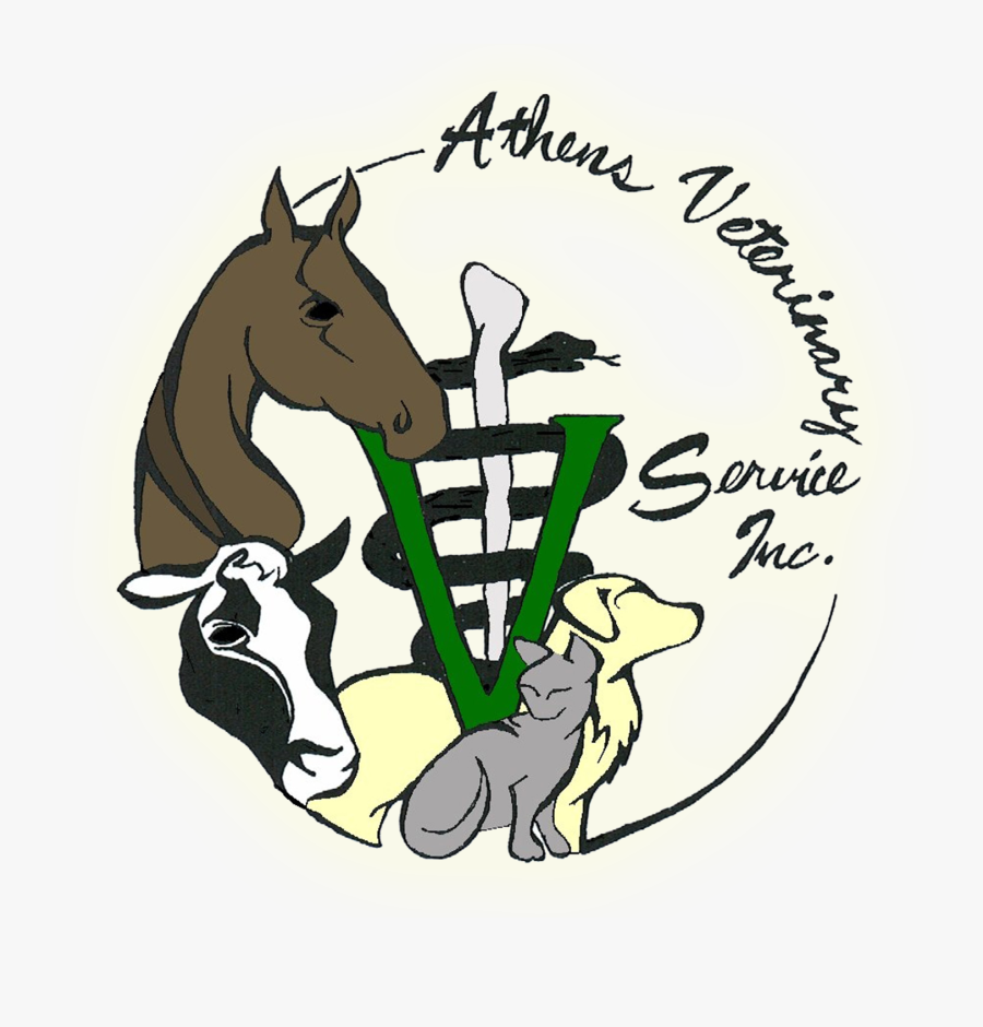 Veterinary Art, Transparent Clipart