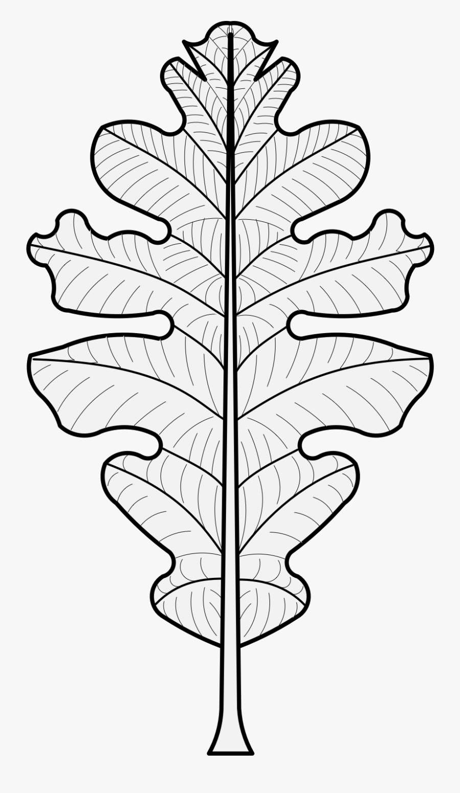 Oak Leaf Heraldry, Transparent Clipart
