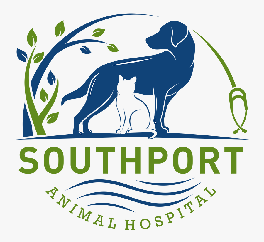 Southport Animal Hospital - Student Support Clip Art, Transparent Clipart