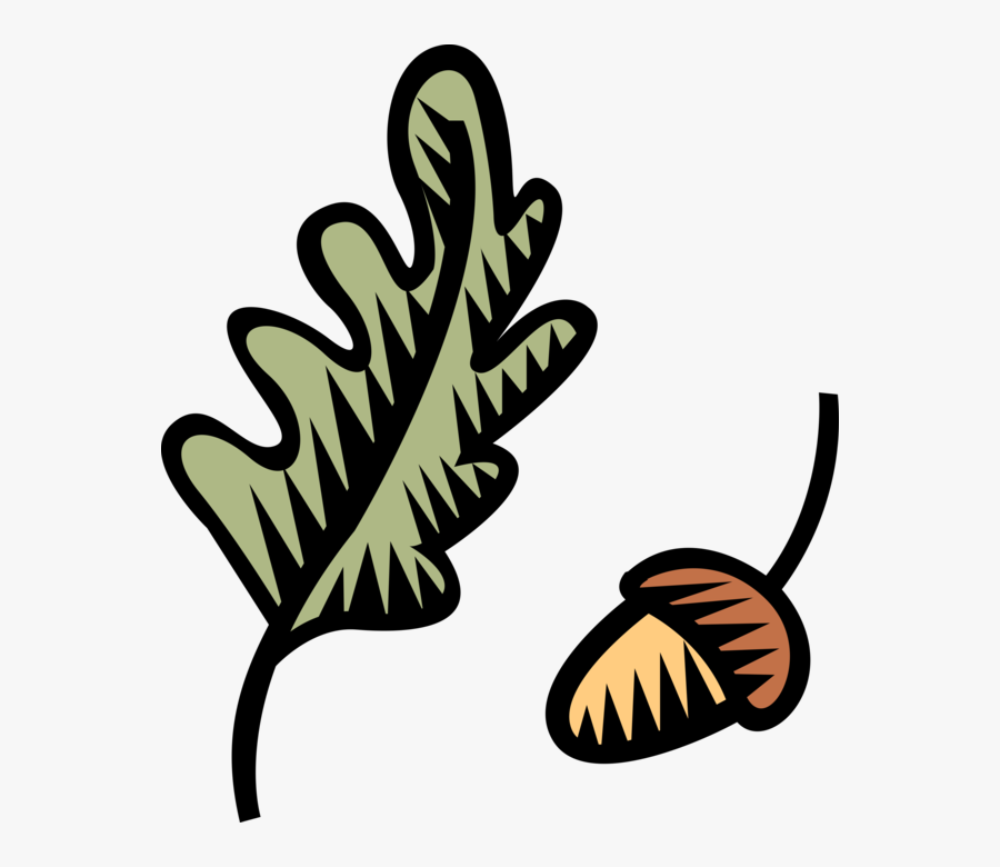 Vector Illustration Of Acorn Seed Nut With Oak Leaf, Transparent Clipart