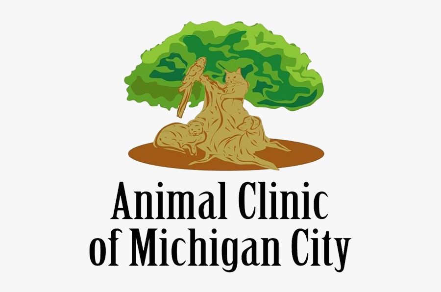 Animal Clinic Of Michigan City - Illustration, Transparent Clipart
