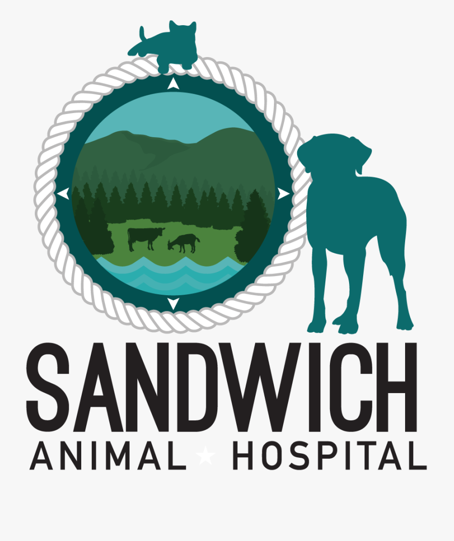 Sandwich Animal Hospital New Hampshire - Word Center, Transparent Clipart
