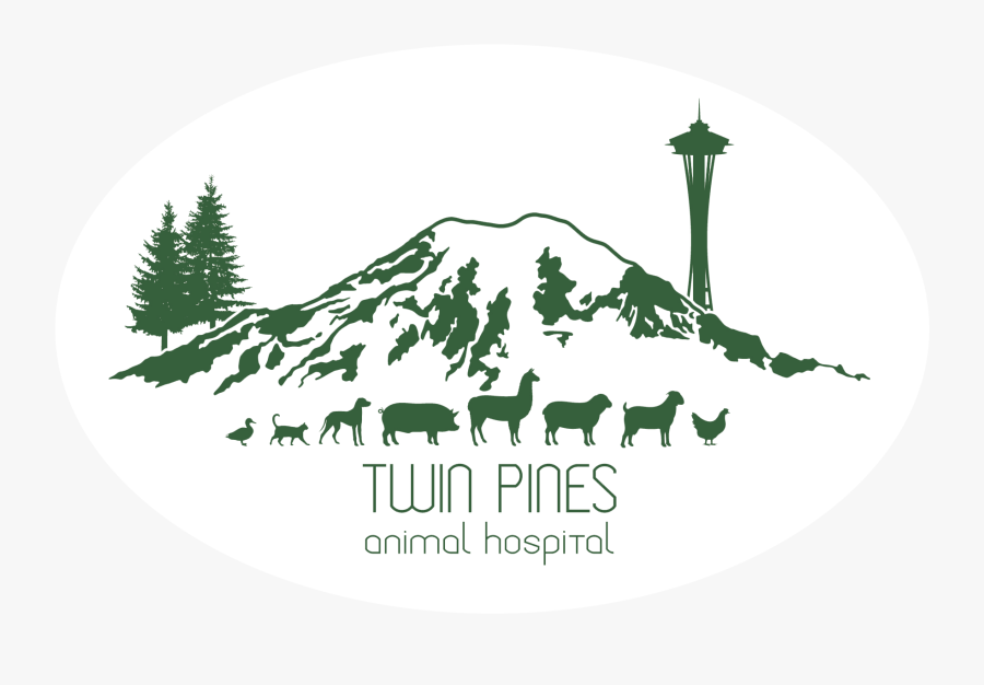 Drawing, Transparent Clipart