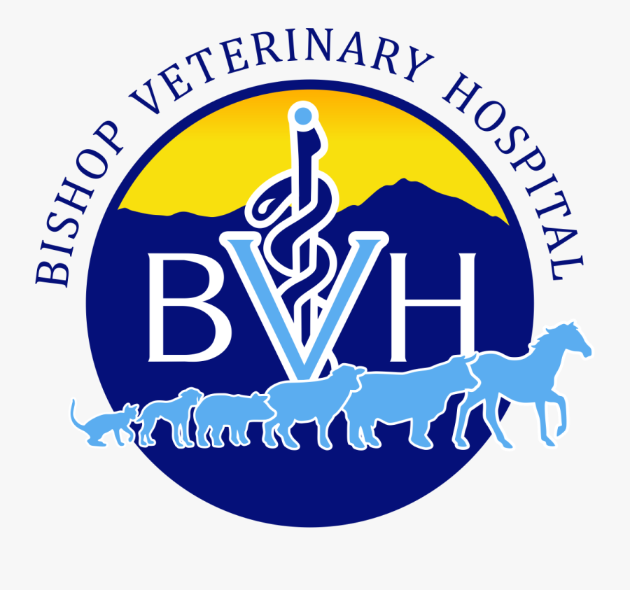 Bishop Veterinary Hospital, Transparent Clipart
