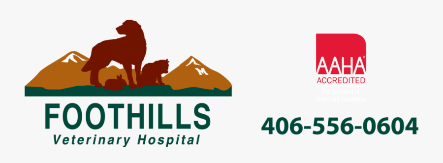 Veterinarian Clip Art, Transparent Clipart