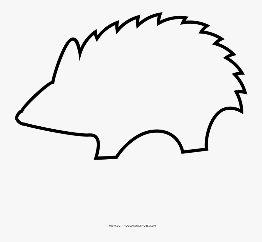 Porcupine Coloring Page, Transparent Clipart