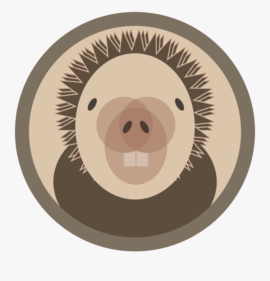 Porcupine - Cartoon, Transparent Clipart