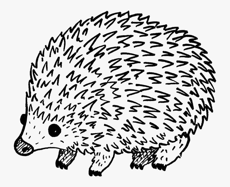 Transparent Hog, Transparent Clipart