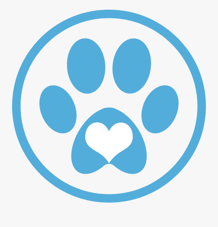 Circle, Transparent Clipart