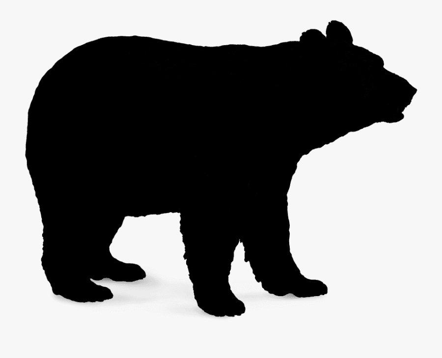 Polar Bear Brown Bear American Black Bear Vector Graphics - Transparent Polar Bear Vector, Transparent Clipart