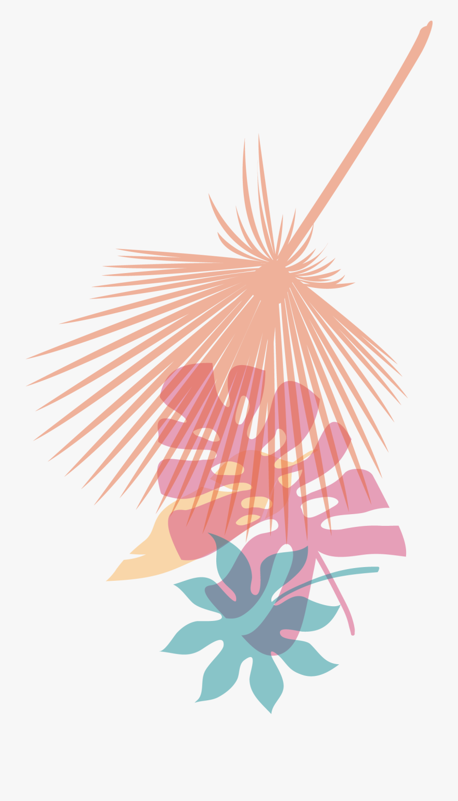 Illustration, Transparent Clipart