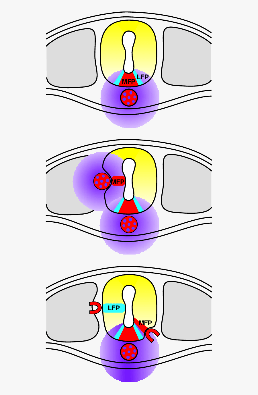 Shh Is Necessary But Not Sufficient To Obtain Floor, Transparent Clipart