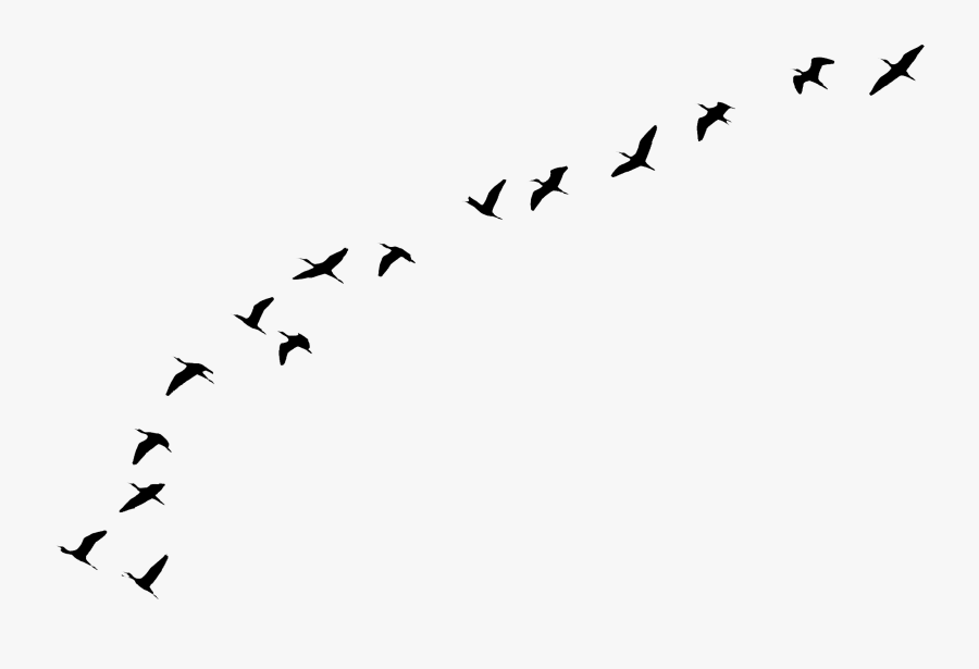 Flying Birds Tattoo Clip Arts - Png Clipart Flying Birds In Transparent, Transparent Clipart