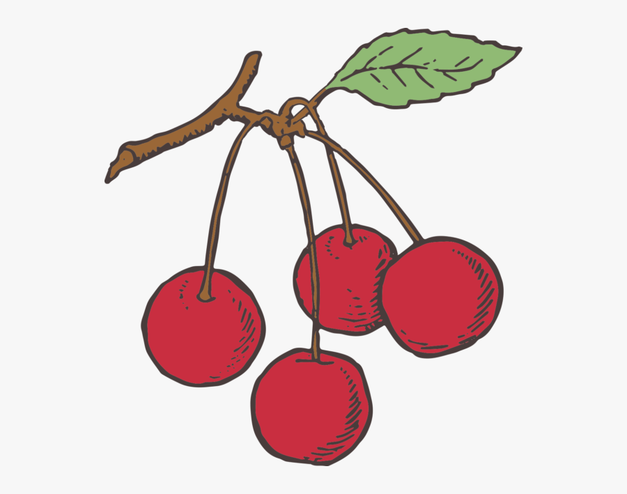 Cad Tea Time Fruit Veg Teapot-3, Transparent Clipart