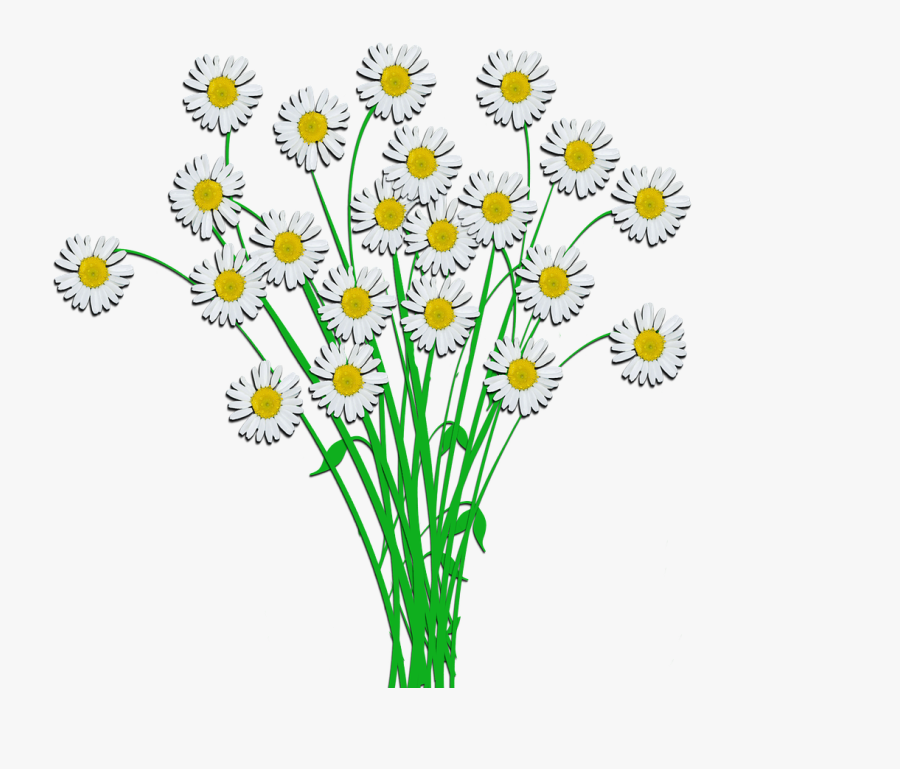 Bouquet Margaritte Blossom Free Picture - Ramalhete De Flores Desenho, Transparent Clipart