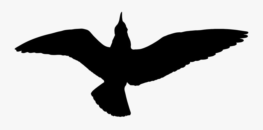 Duck,water Bird,monochrome Photography - Cartoon Seagulls Silhouette Png, Transparent Clipart