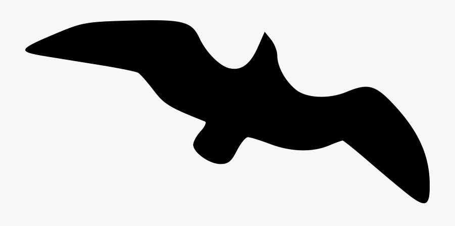 Photography - Cartoon Black Seagull, Transparent Clipart