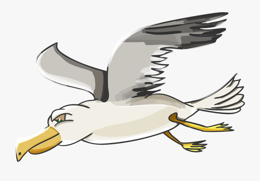 Petrel, Outlander, Seagull, Albatross, Bird, Flies - Cartoon Albatross, Transparent Clipart
